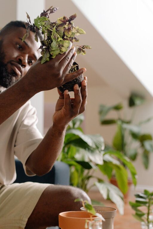 Tips for Creating a Sustainable and Eco-Friendly Home Environment